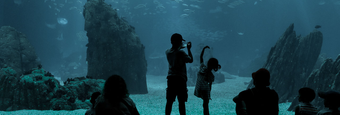 Not To Be Missed in Lisbon - Lisbon region