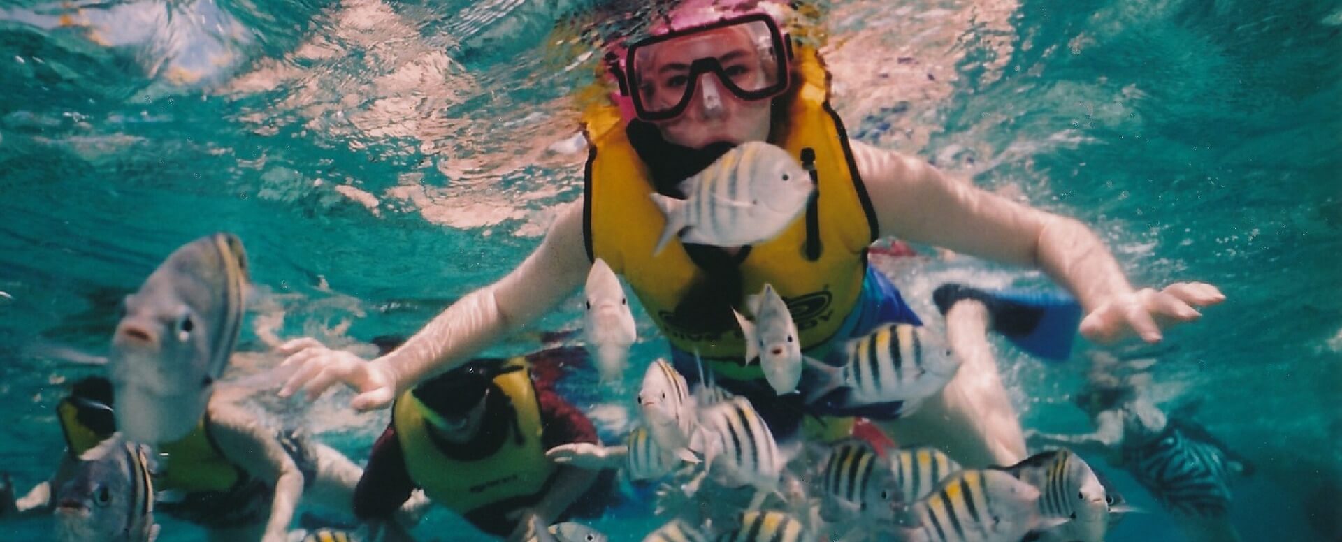 Snorkeling in Akumal, Quintana Roo - Mexico