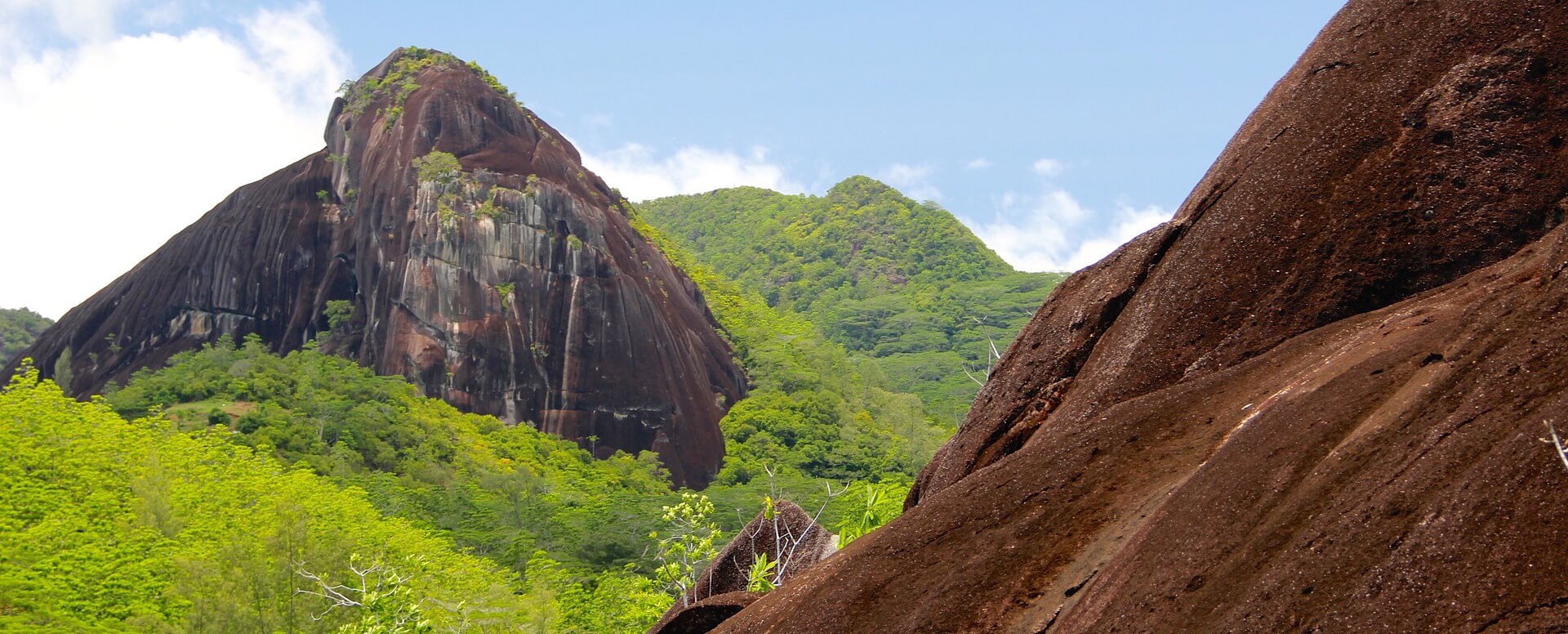 8. Hiking in the Vallée de Mai - Seychelles