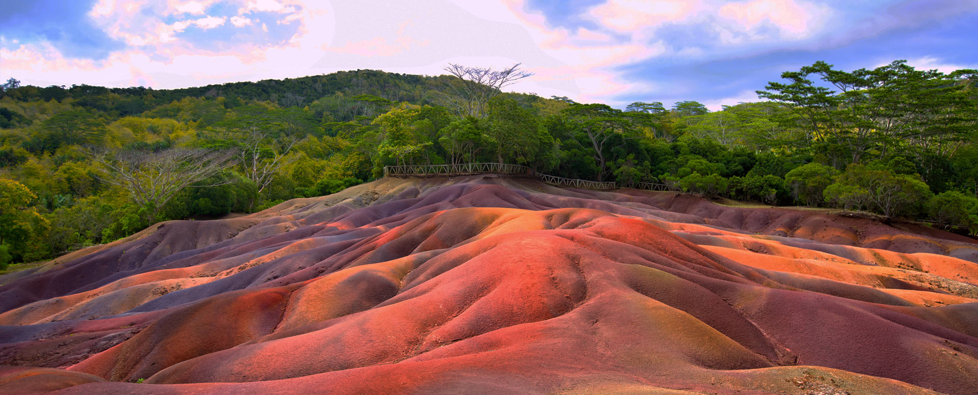 Nature in Chamarel - Mauritius