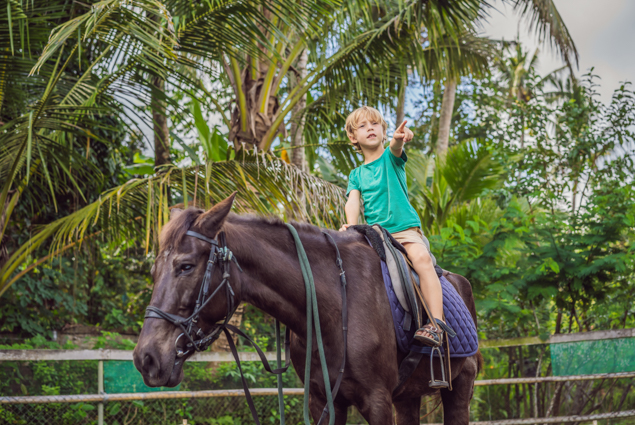Horse ride