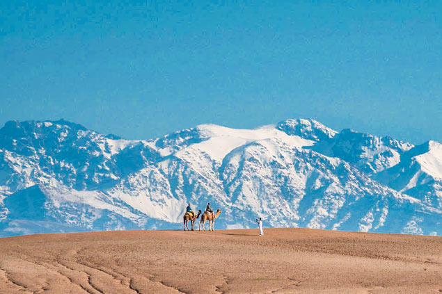 Camel ride