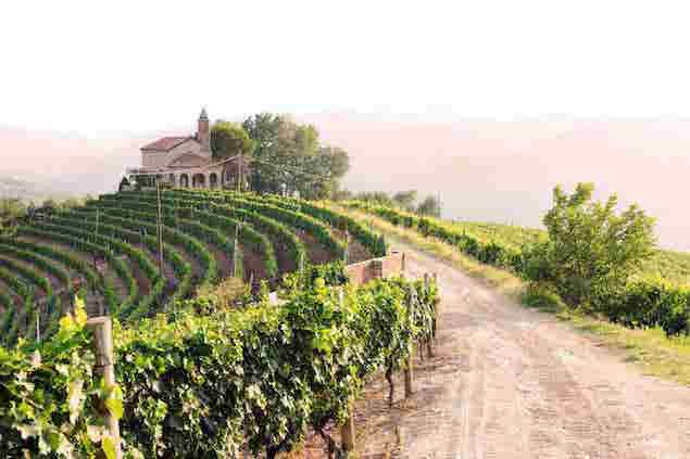 Wine tourism