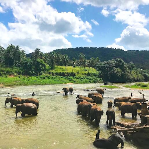 Bike tours in Sri Lanka - Angoda