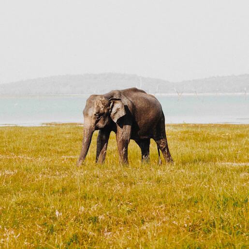 For families: World's End in the heart of Horton Plains
