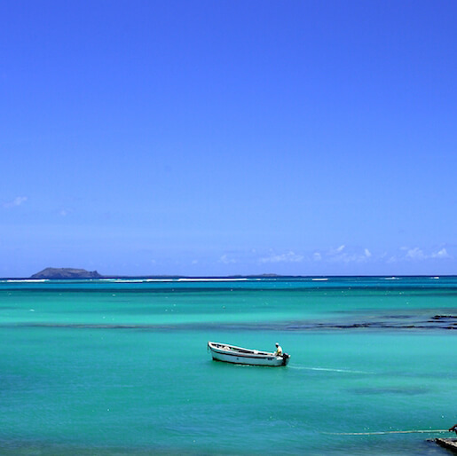 FROM FLIC-EN-FLAC (2)