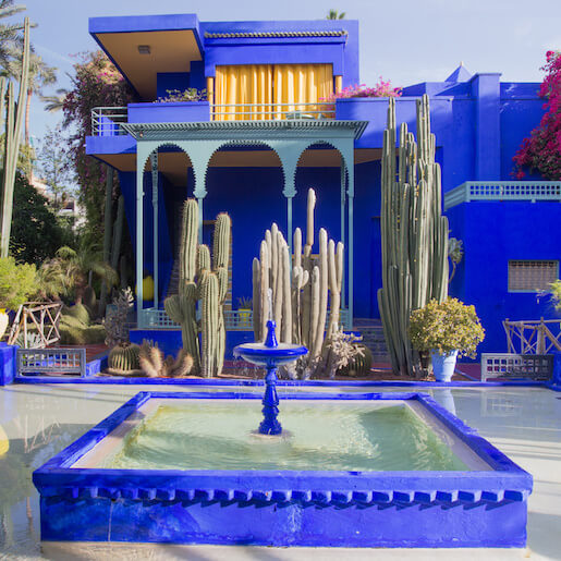 Majorelle Garden and Yves Saint Laurent Museum