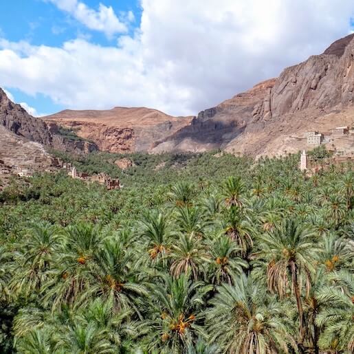 Ouarzazate Desert