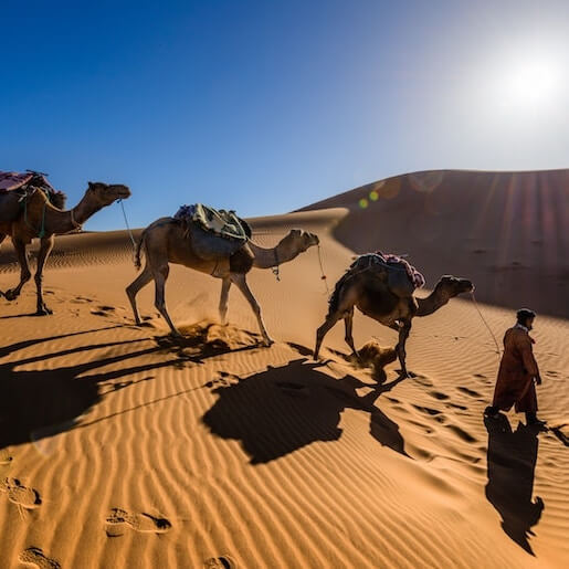 Walk in the Desert of Stones and the Jiblet Mountains