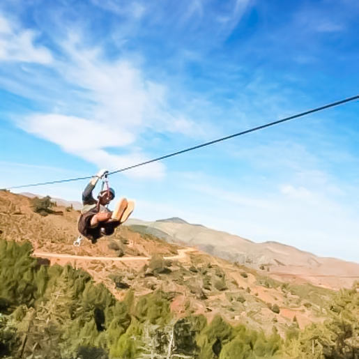 Family activity on an tree-climbing course