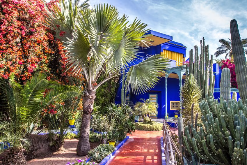 Visit the truly unique Majorelle Garden
