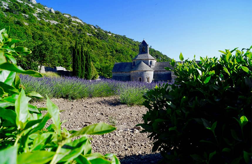 Why people love to go to Provence?