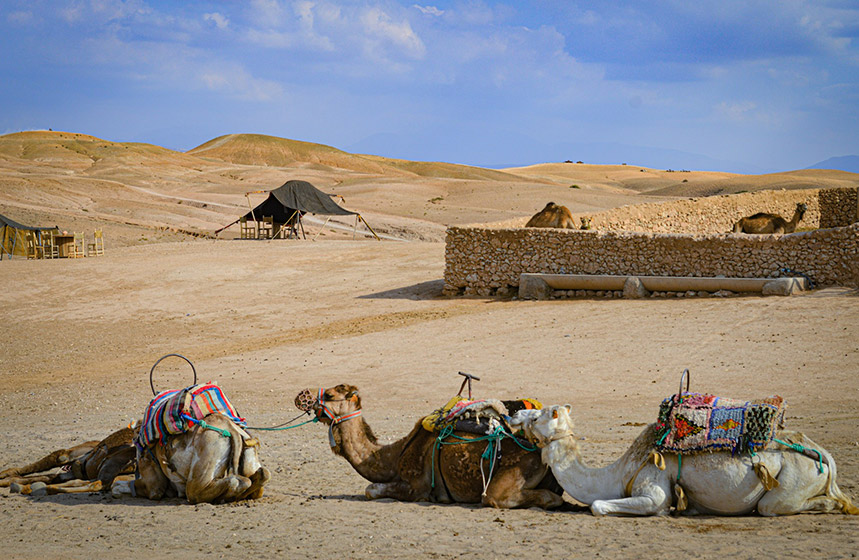 Marrakech with family: 10 activities and excursions to discover with your kids