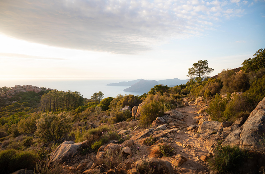 Culture, Nature and Luxury: Your Best 2025 Holiday in Corsica