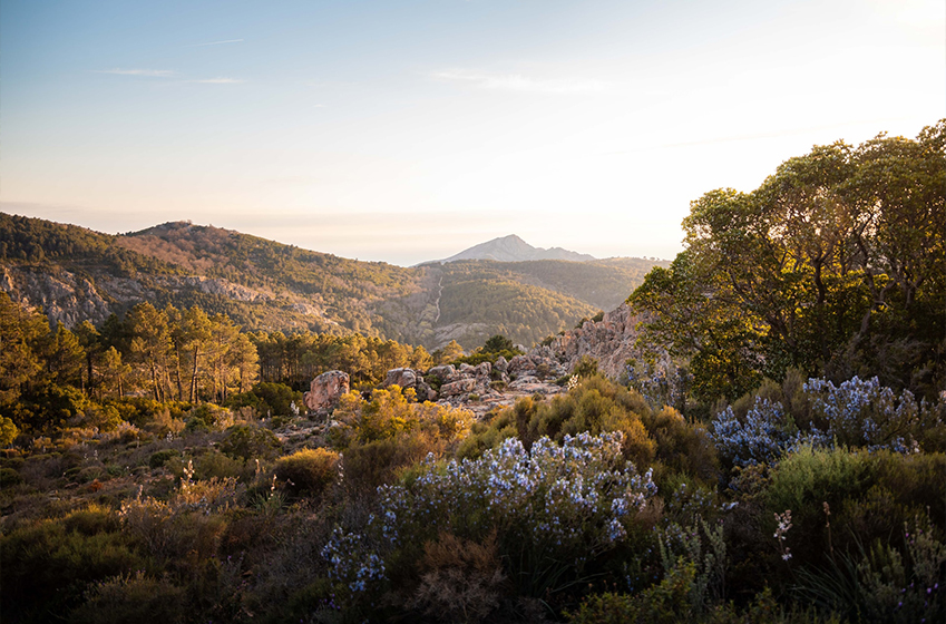 Discover Southern Corsica's iconic landmarks