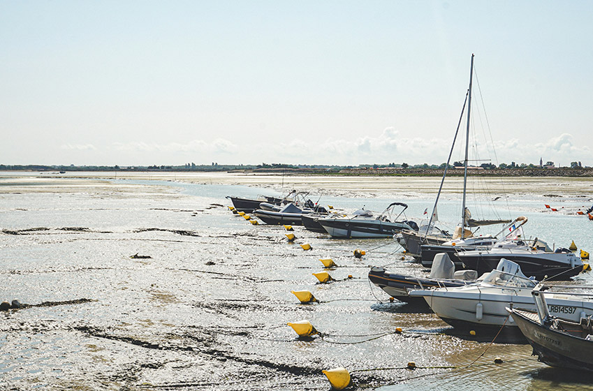 Tips for a successful catamaran excursion 