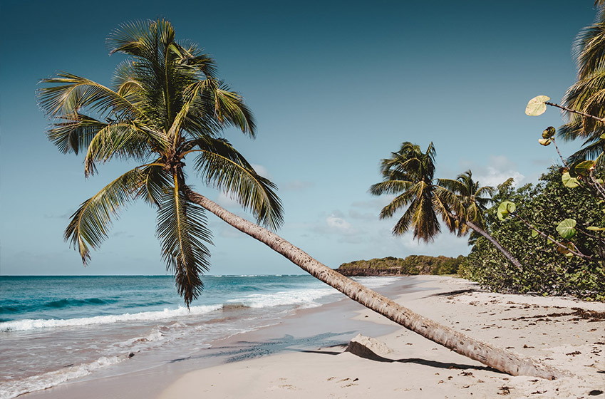 9. Martinique: For sunshine holidays in March