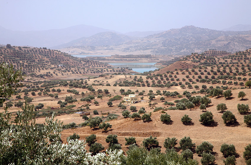 Autumn: Mild temperatures and the olive and argan harvest 