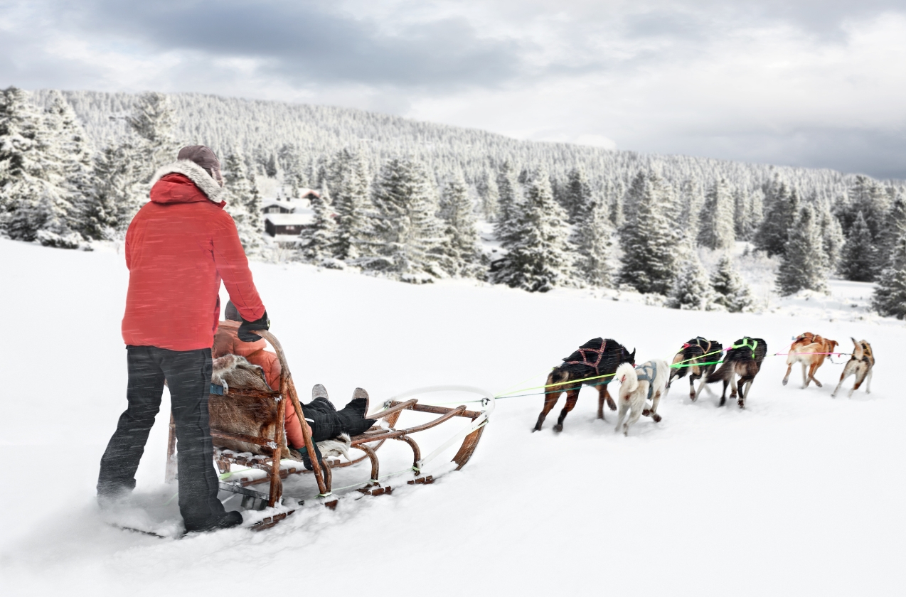 Family activities off the slopes