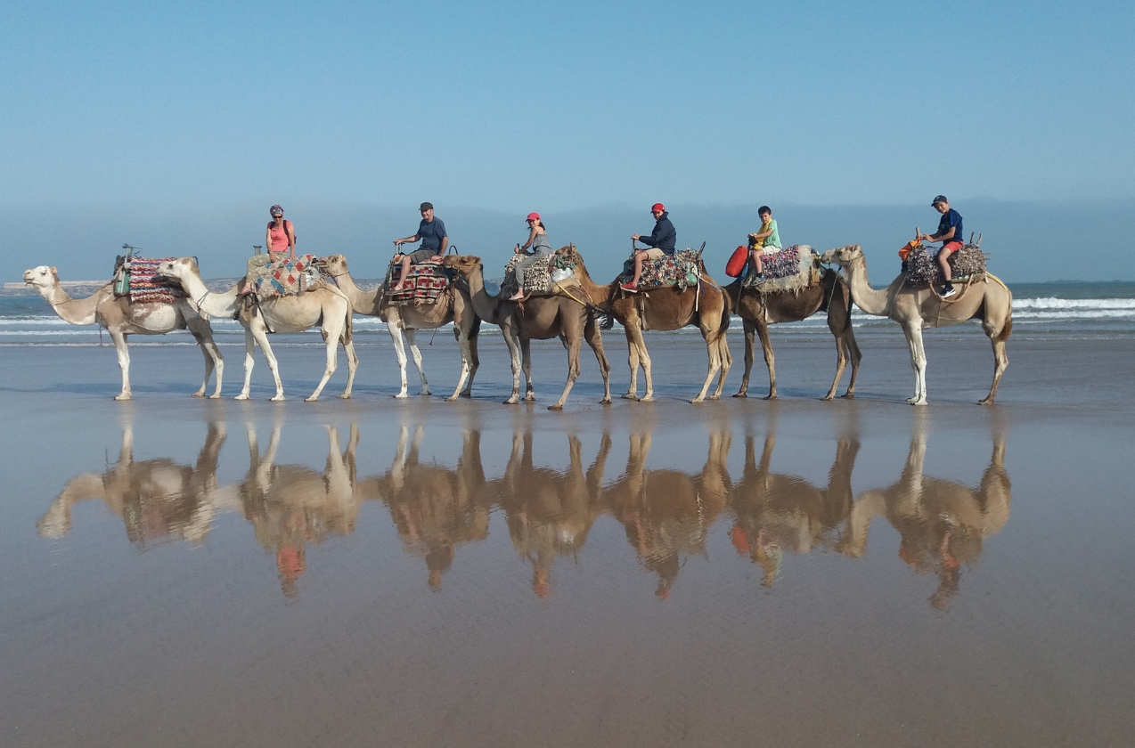 Activities and excursions: What to do around Essaouira?