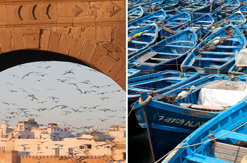 Explore the historic monuments of Essaouira