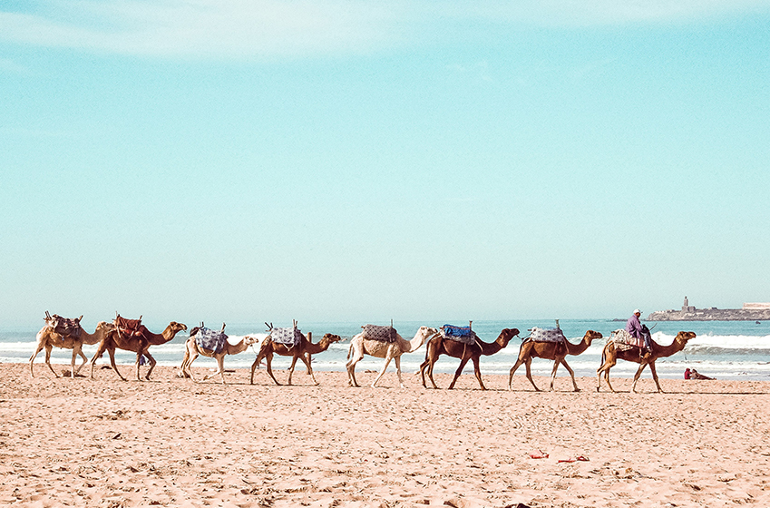 What to do and things to see around Essaouira, Morocco? 
