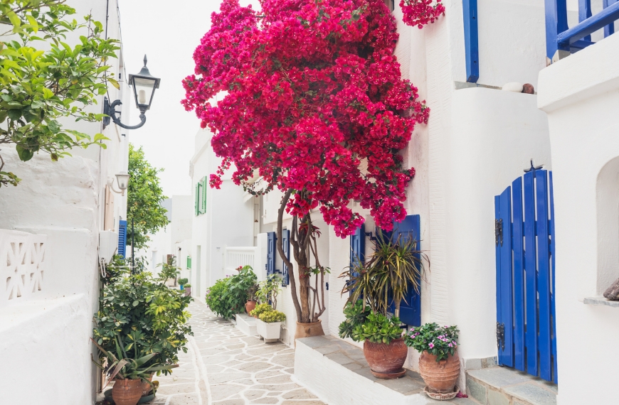 Paros: Golden beaches on one of the most picturesque Greek Islands