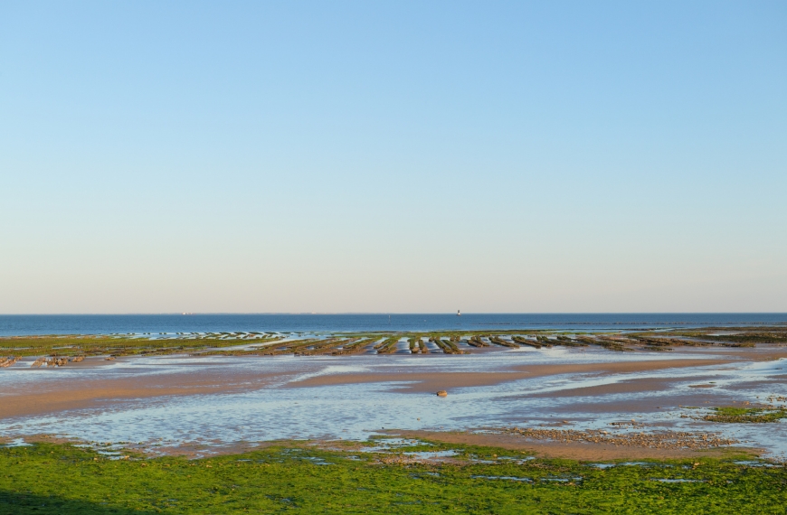 Why visit Île de Ré? A French island with timeless charm
