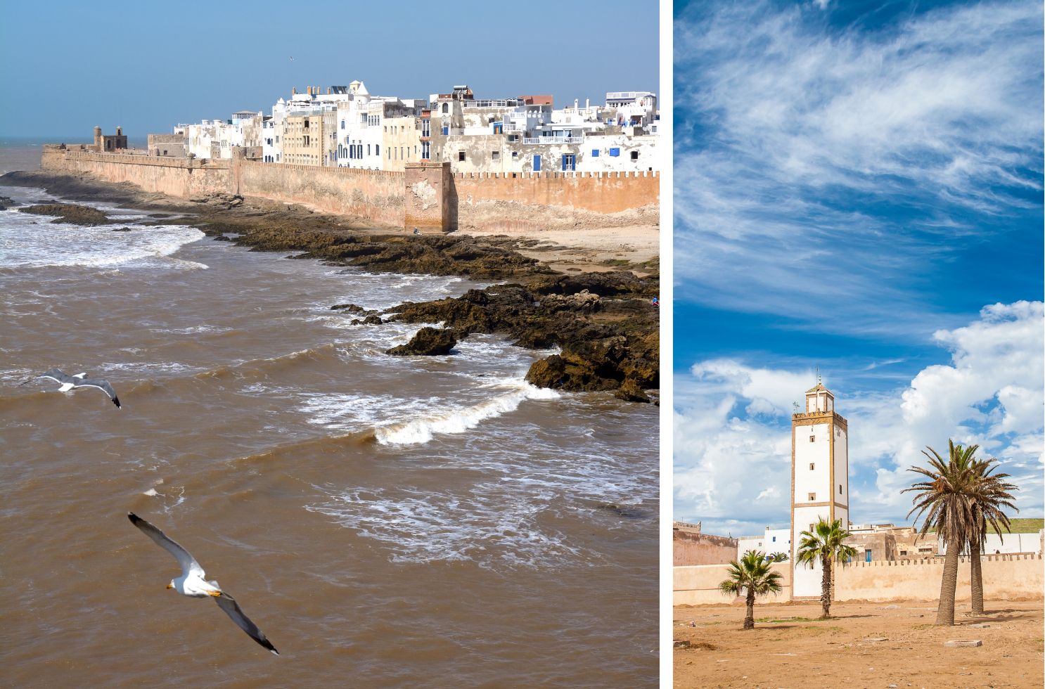 What to do in Essaouira with the family?