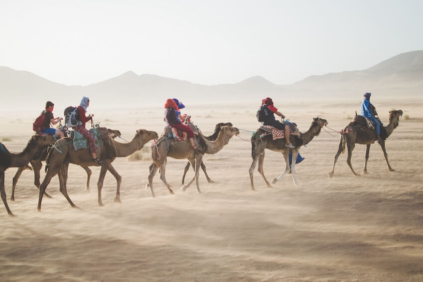 Authentic landscapes to contemplate