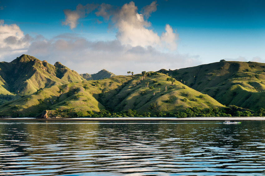 Komodo National Park - Indonesia