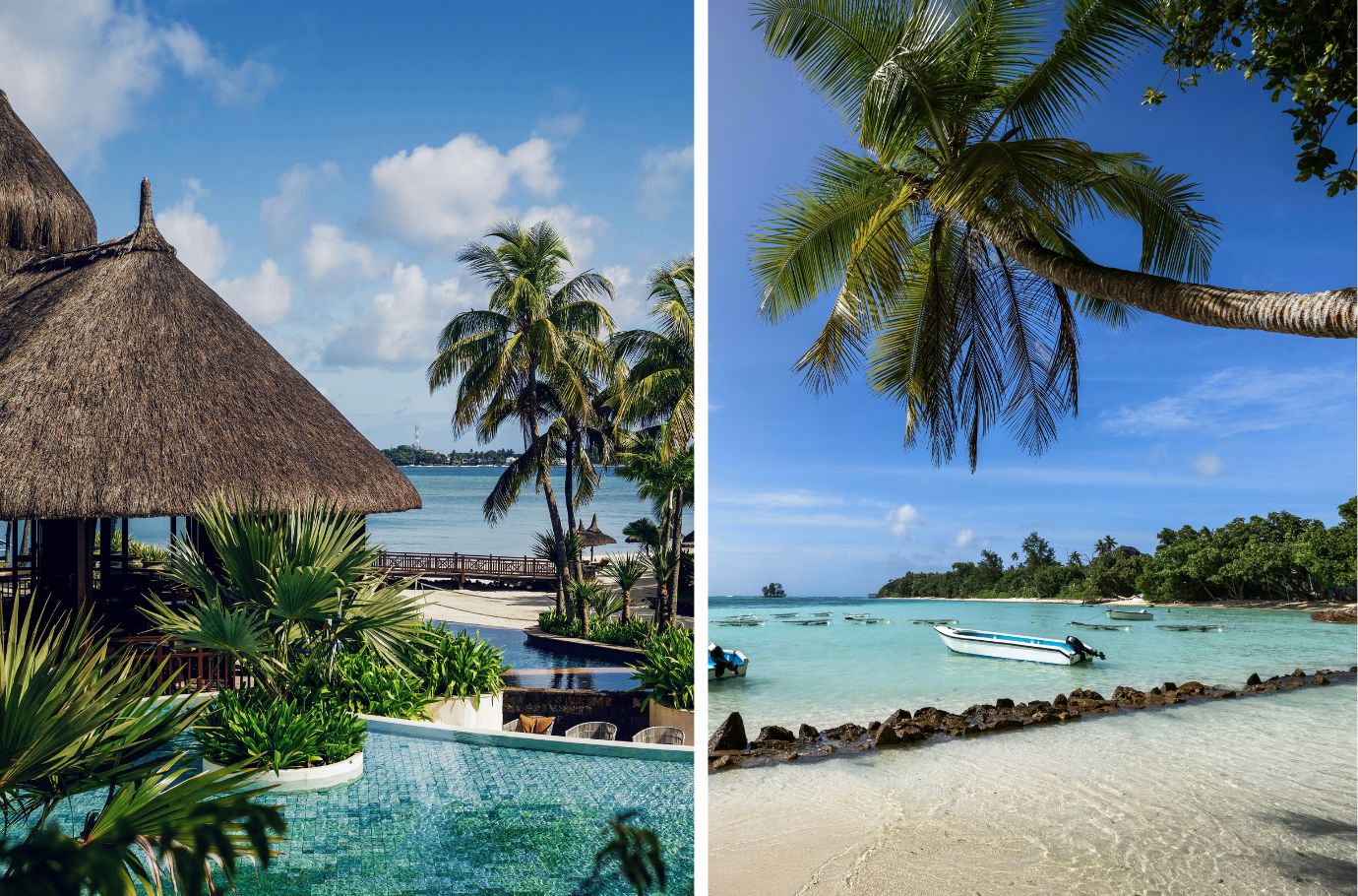 Mauritius or the Seychelles: which island should you choose for your stay?