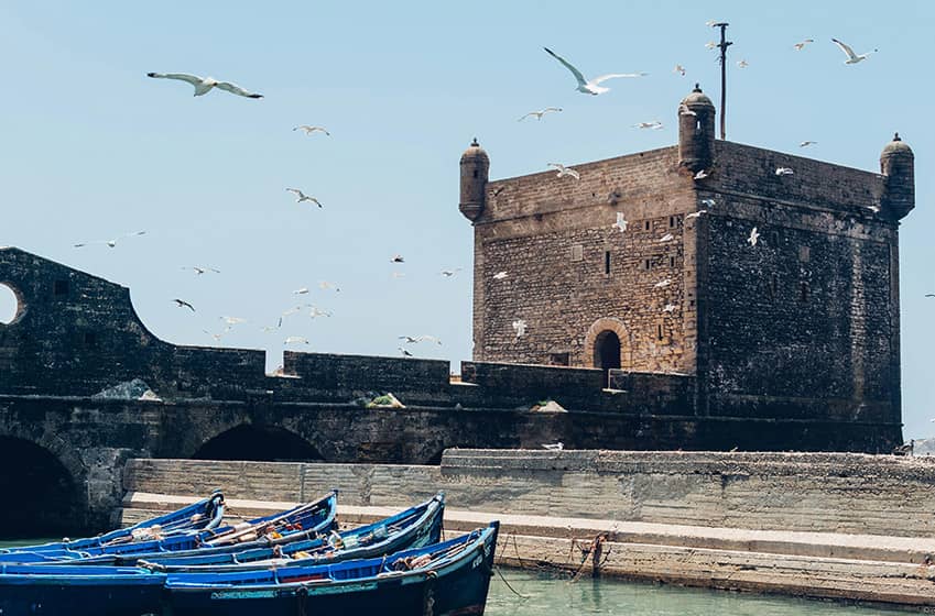 7 authentic (unmissable) experiences in Essaouira