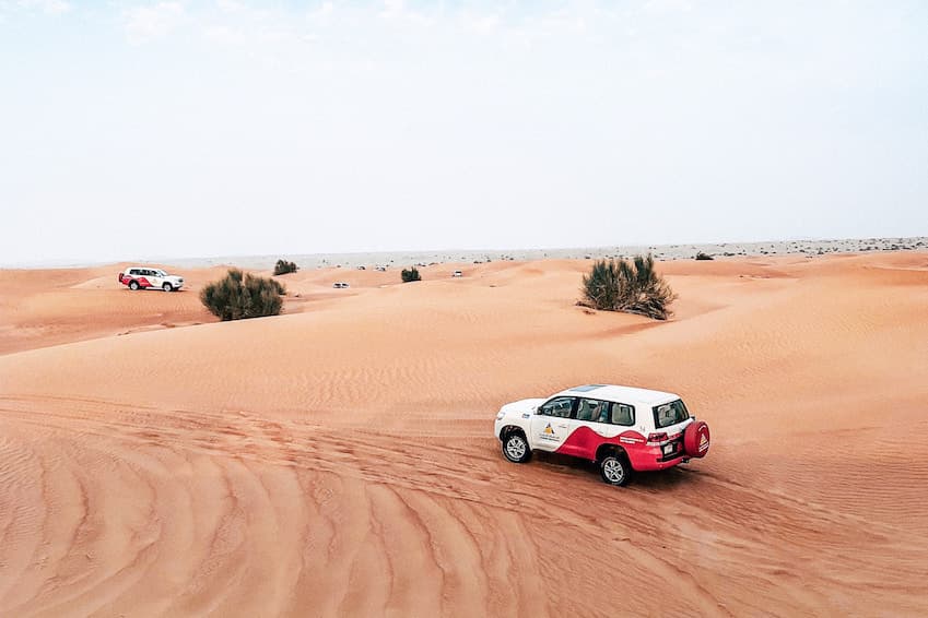 Organize a desert safari