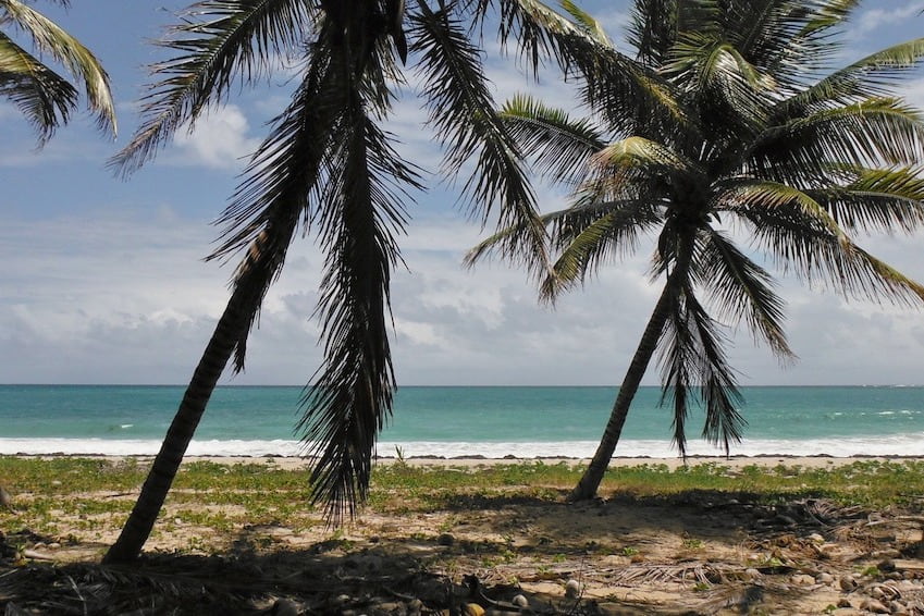 Beach of Grand Macabou
