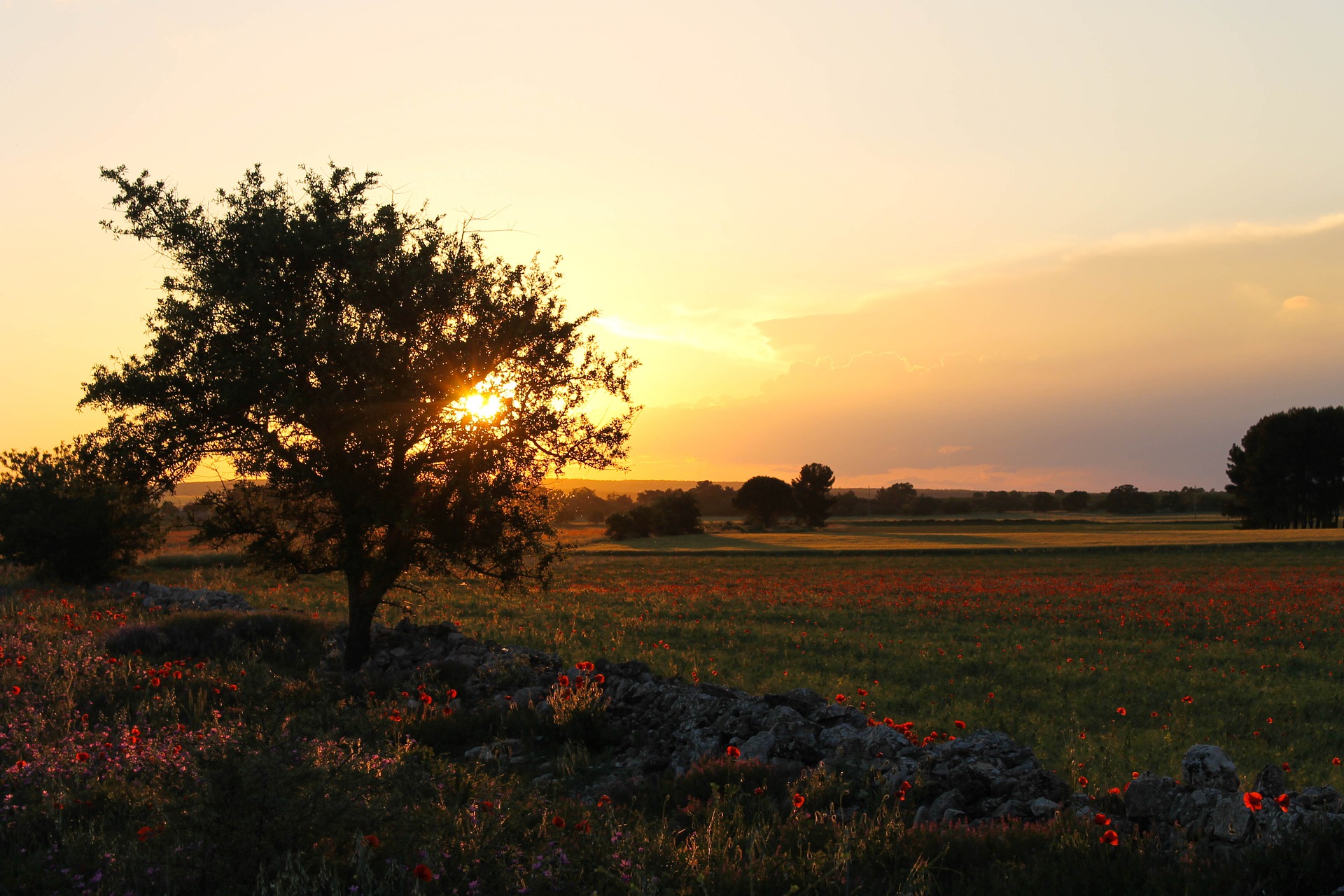 A wild and bewitching nature perfect for unforgettable excursions