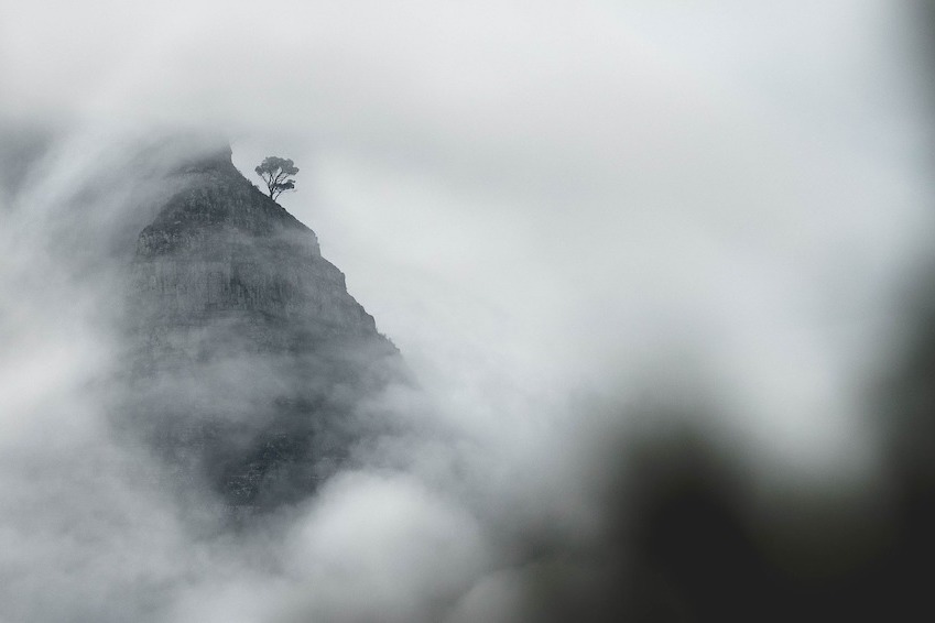 Lion's Head