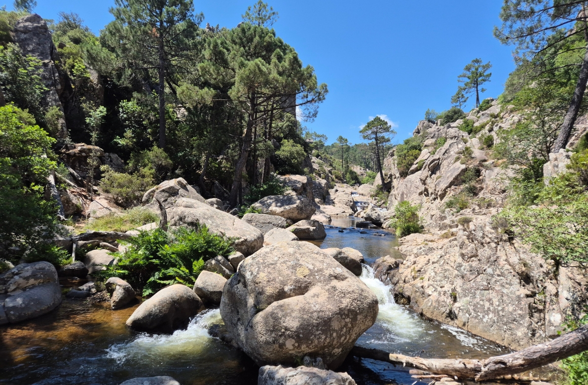 Inland escapes: Forests, rivers and Corsican villages