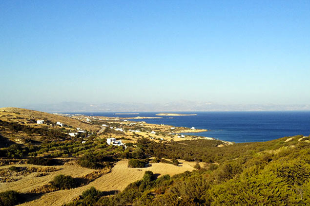 Villa rentals in Paros