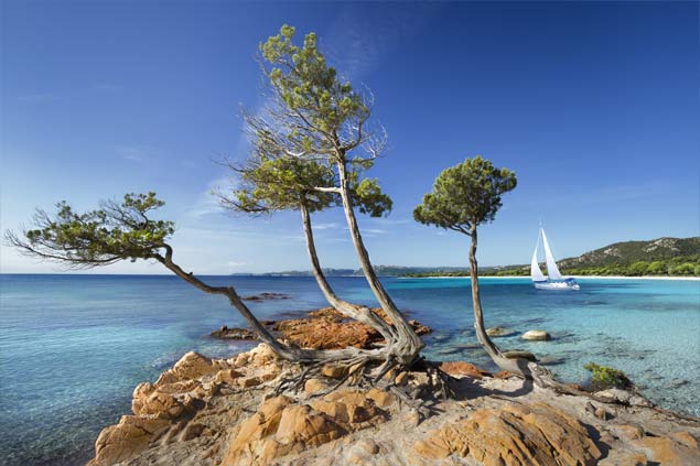Luxury villa rentals in Porto-Vecchio