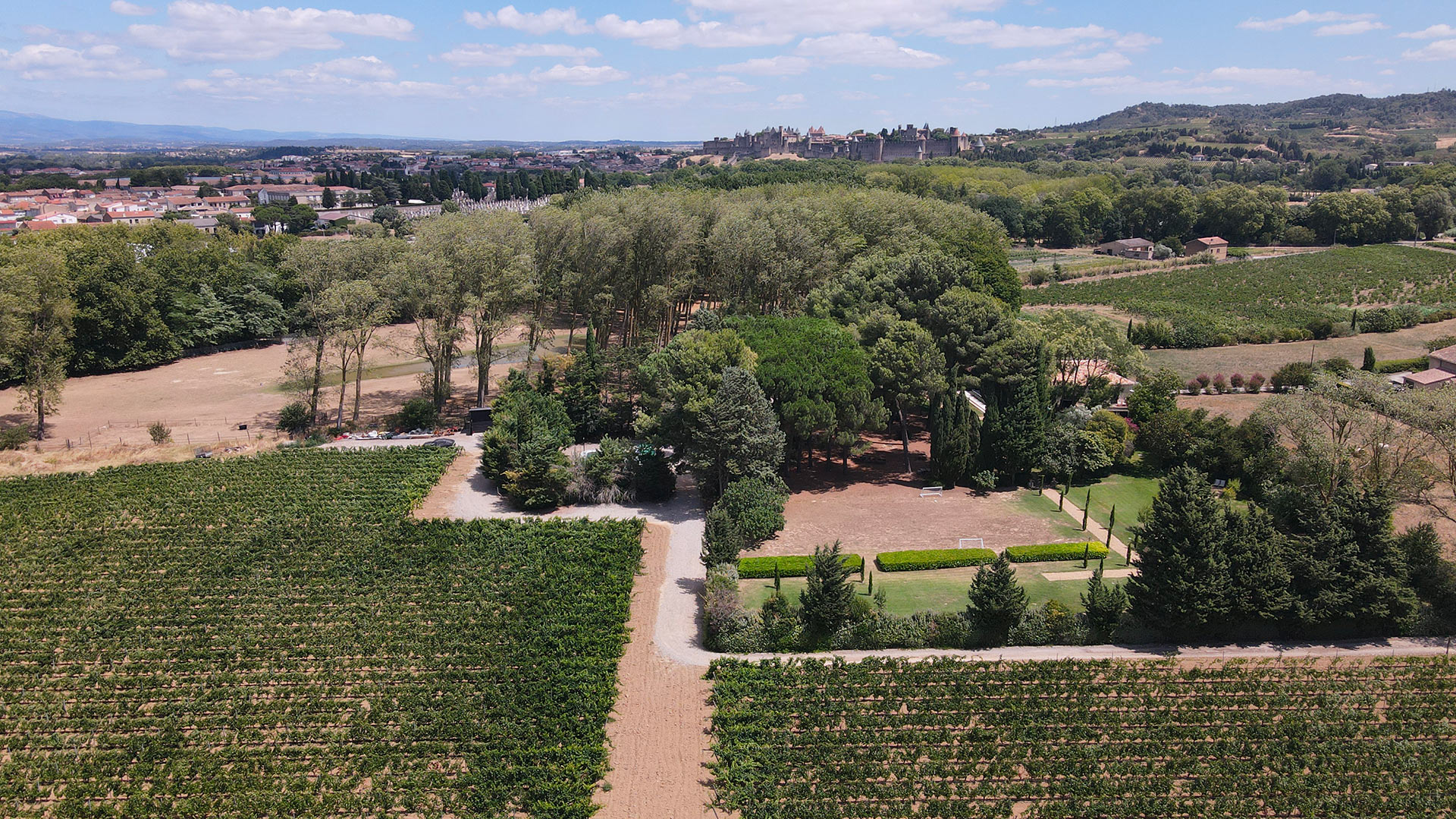 Domaine Castellum Natura - Image 61