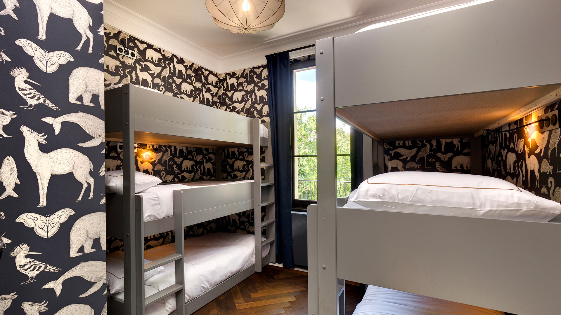 Domaine Castellum Natura - Image 49