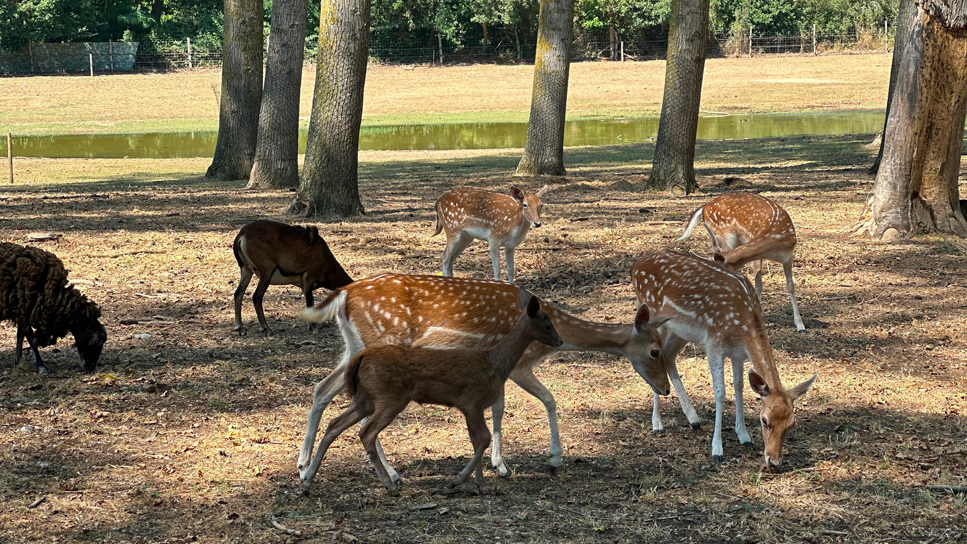Domaine Castellum Natura - Image 55