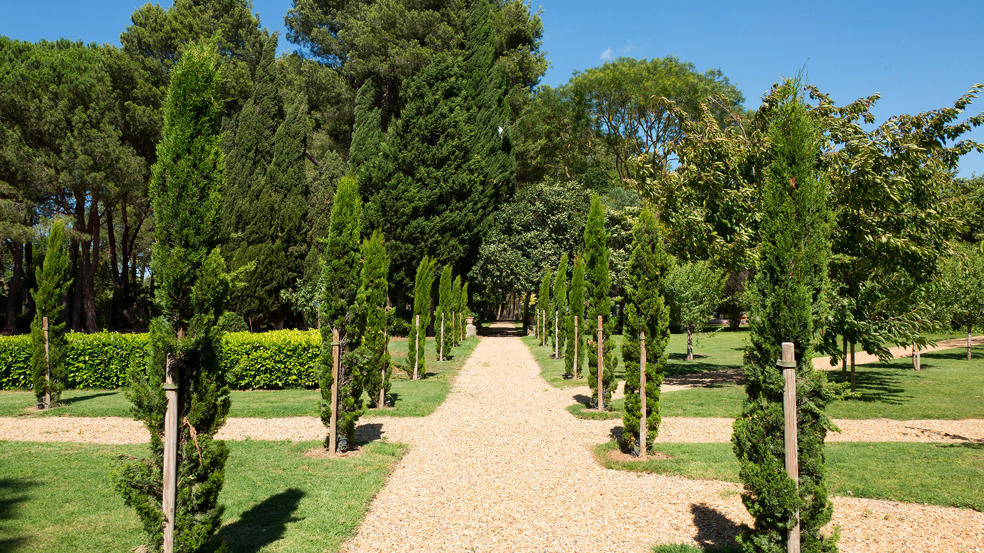Domaine Castellum Natura - Image 11