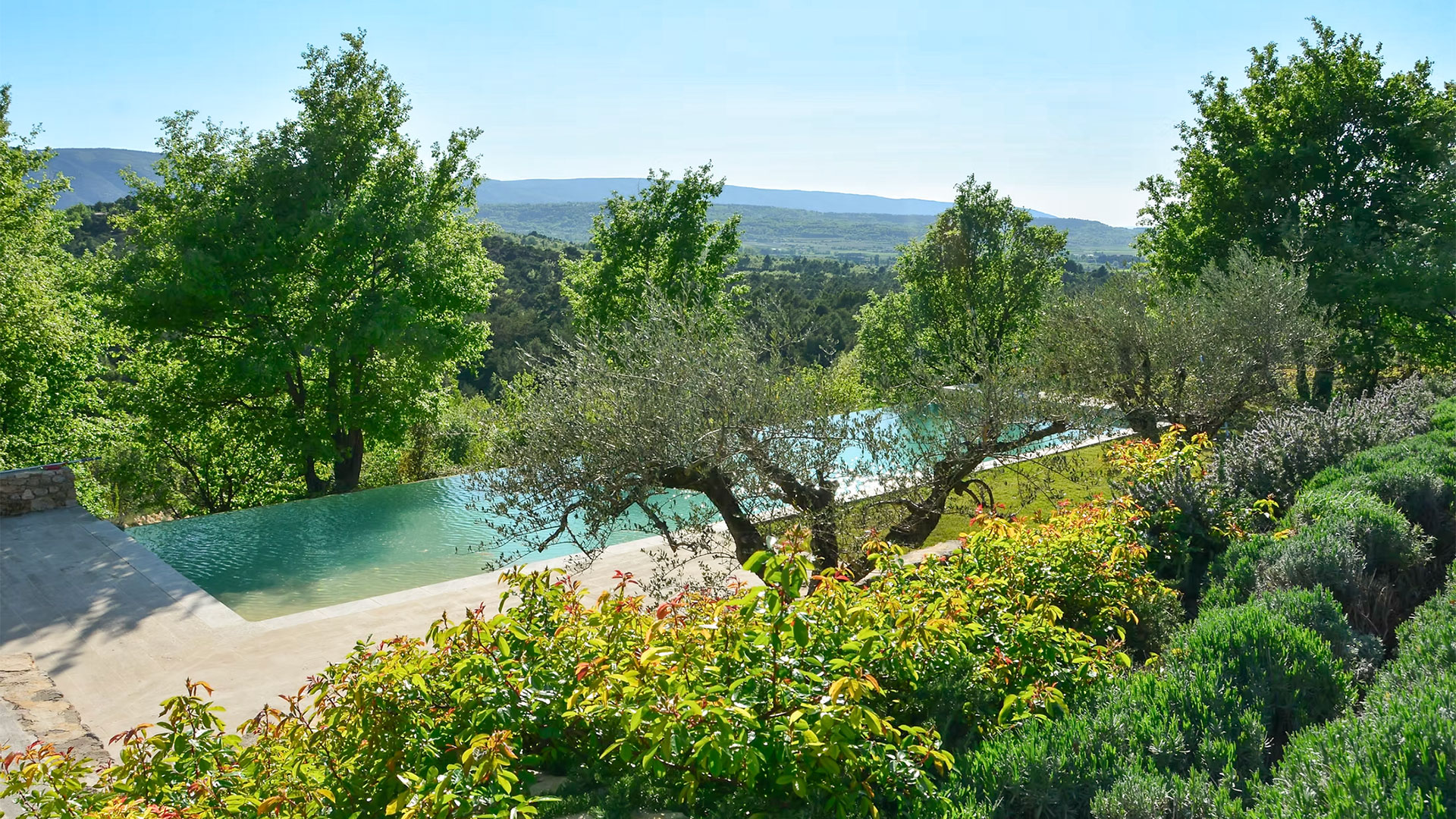 Mas Grenache - Image 7