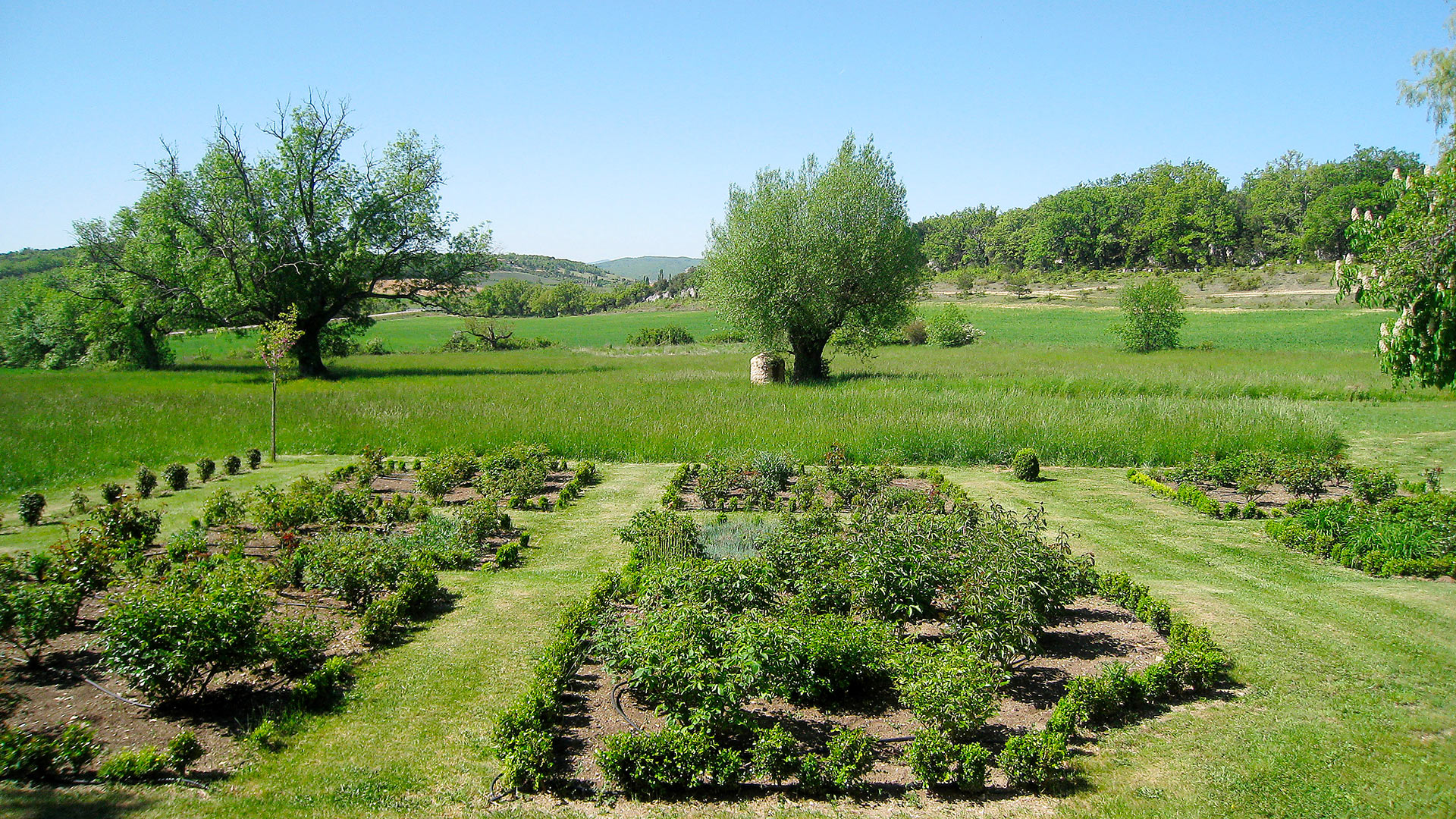 Bastide des Camélines - Image 44