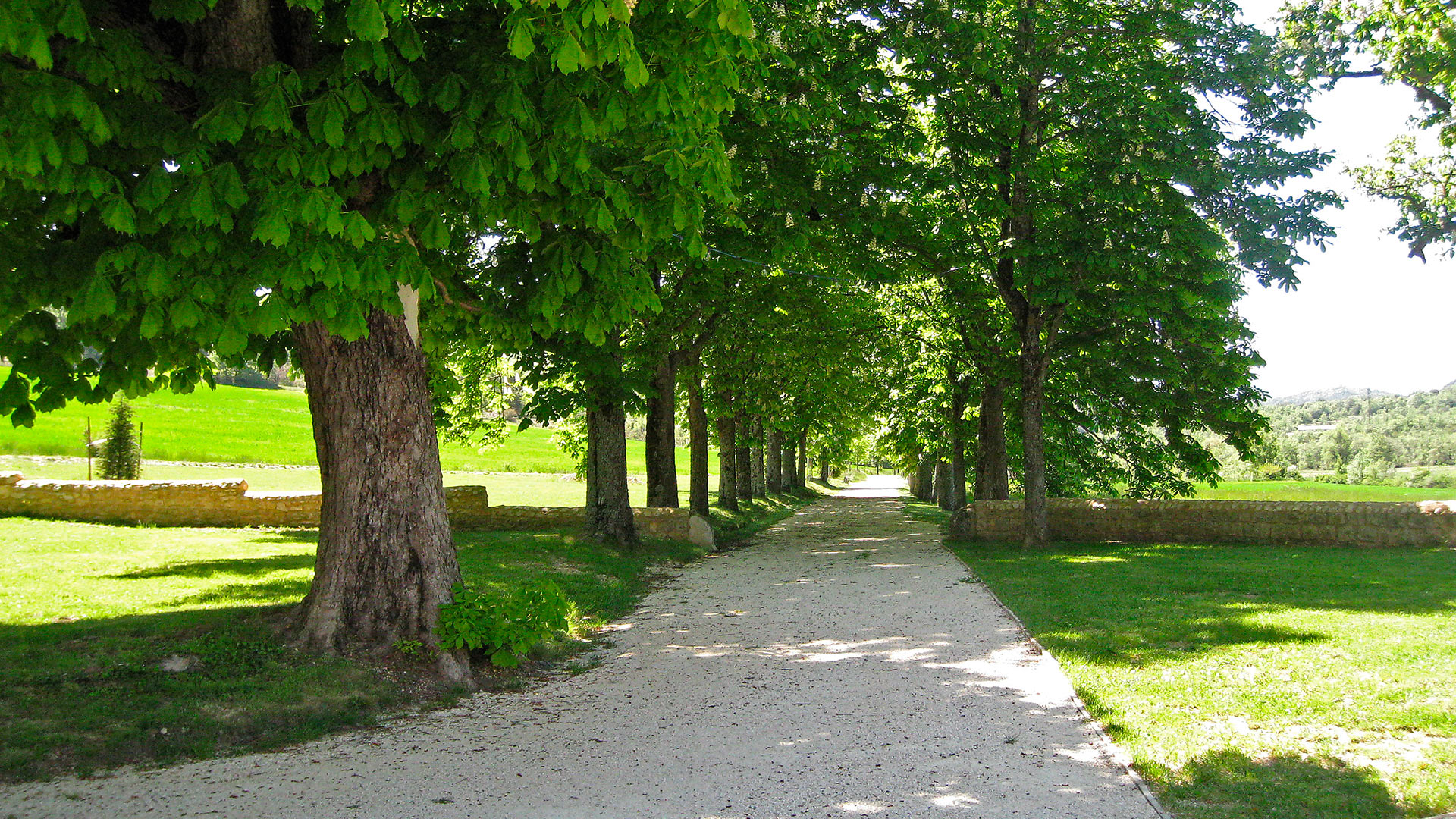 Bastide des Camélines - Image 11