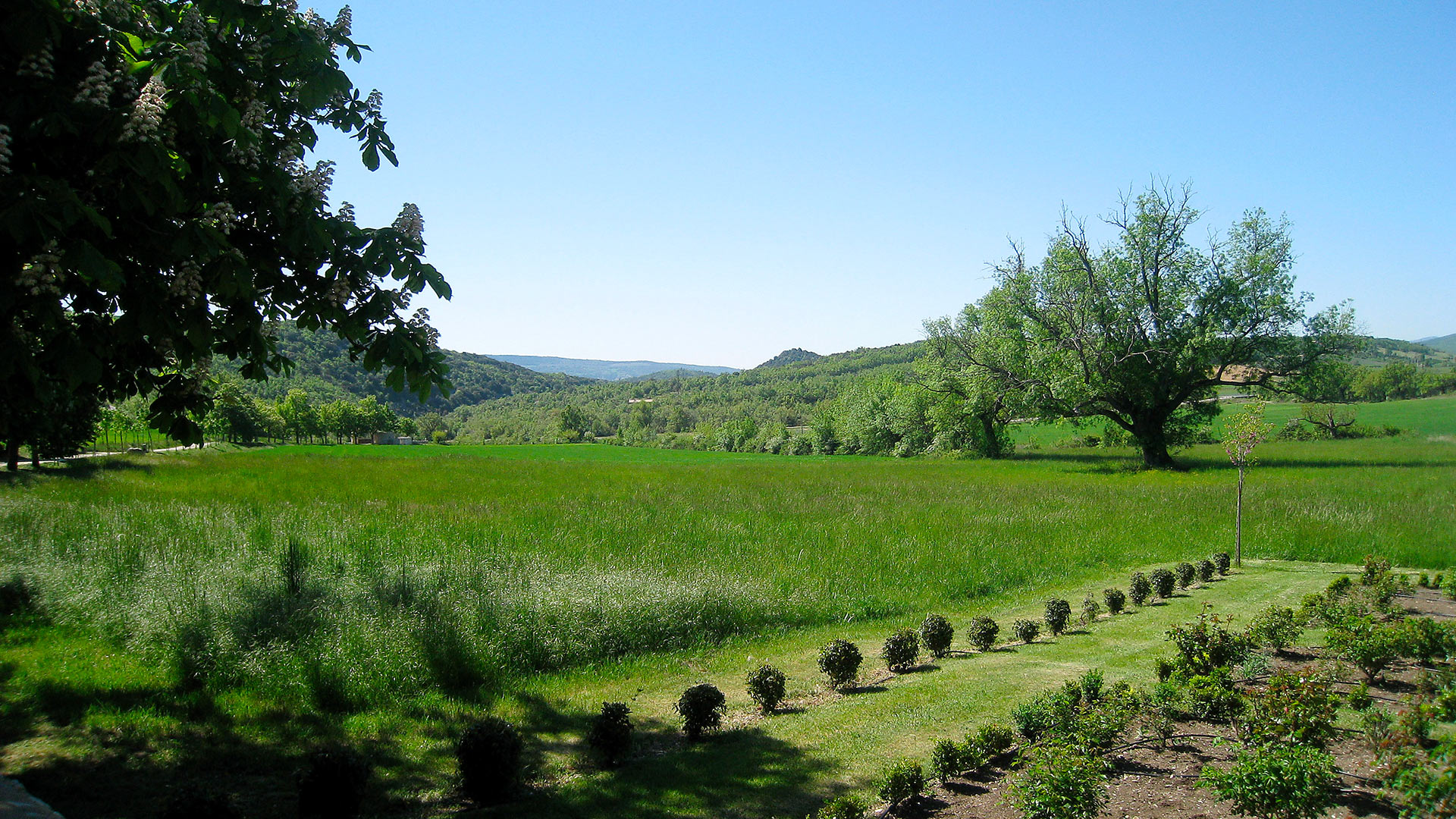 Bastide des Camélines - Image 49
