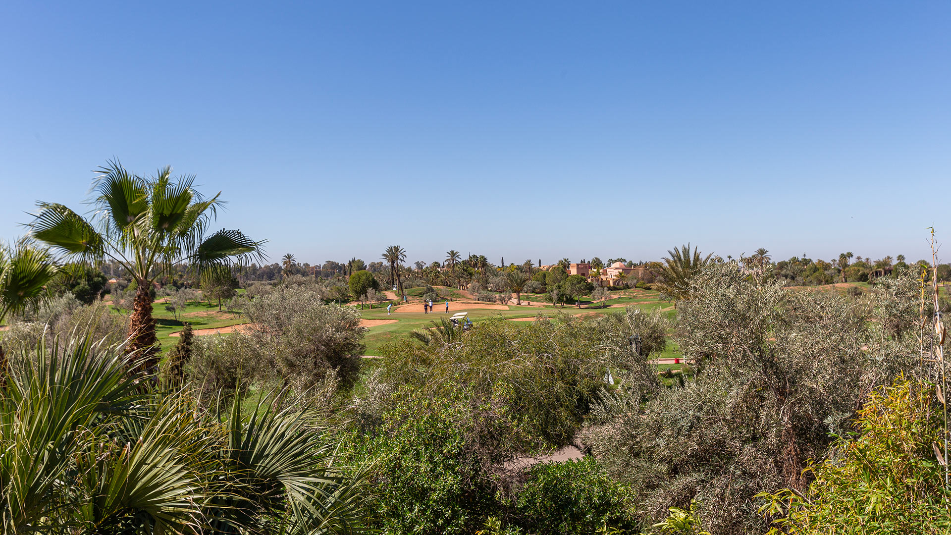 Dar Nahel - Image 36
