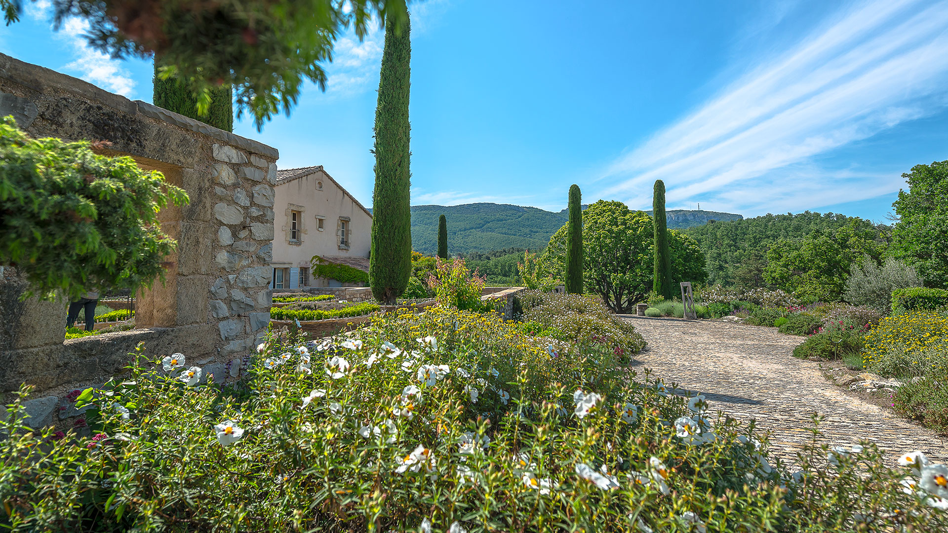 La Prieuré dans les vignes - Image 18